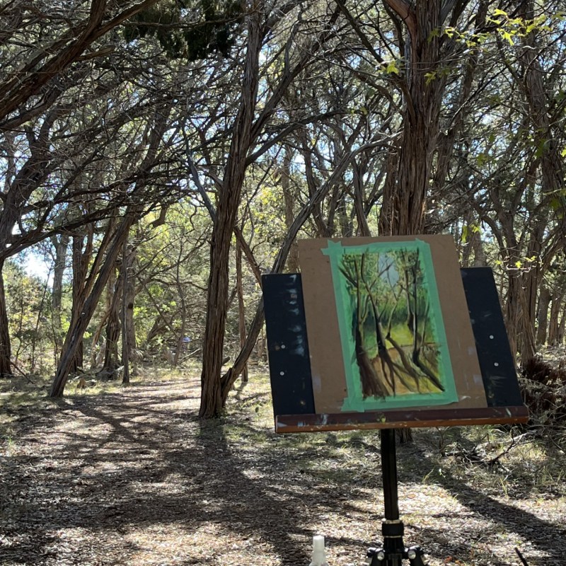 a sign on the side of a tree