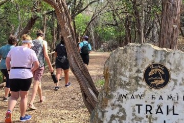 a group of people standing next to a tree