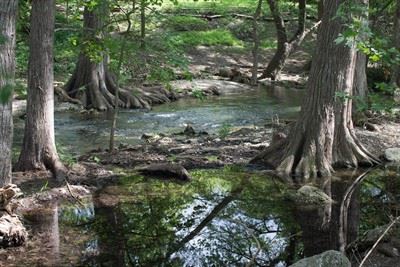 Cypress Creek Nature Trail & Preserve | Wimberley Parks