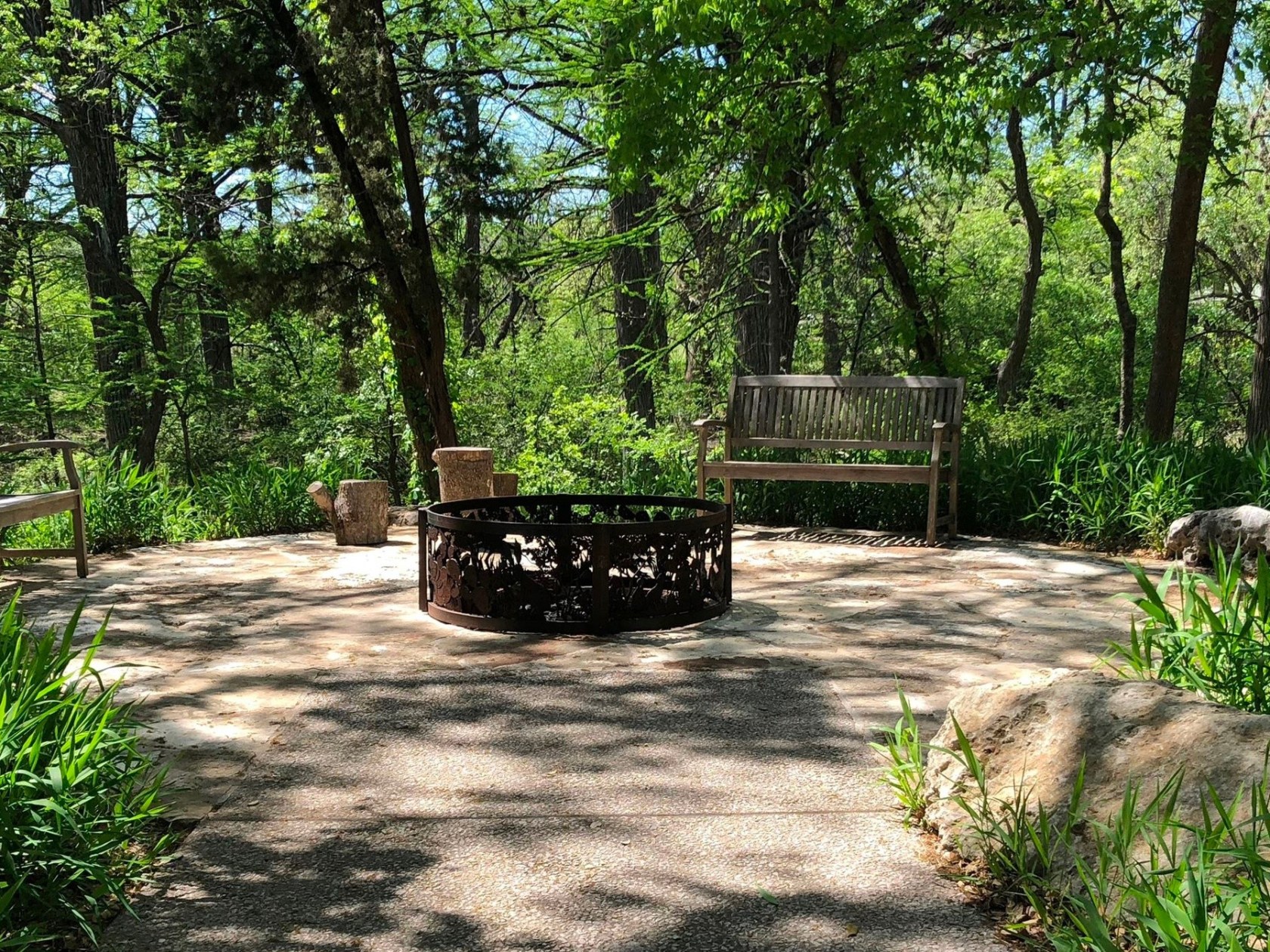 a bench next to a tree