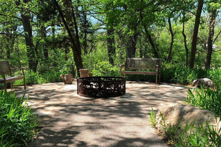 a bench next to a tree