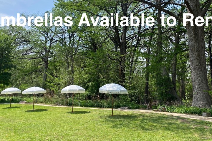a couple of lawn chairs sitting on top of a grass covered park