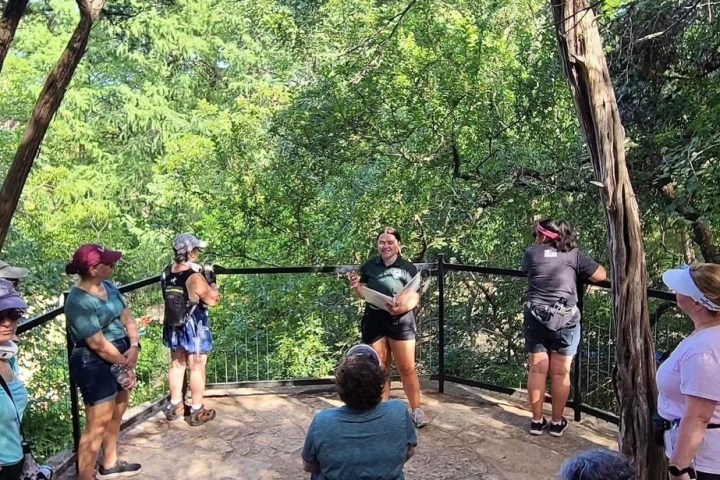 a group of people standing next to a tree
