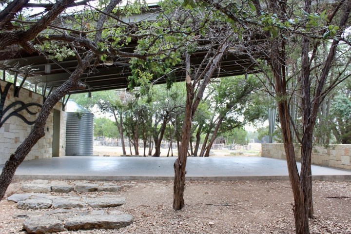 a close up of a tree