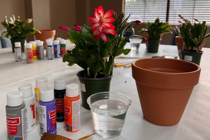 a close up of a bottle and a glass of beer on a table