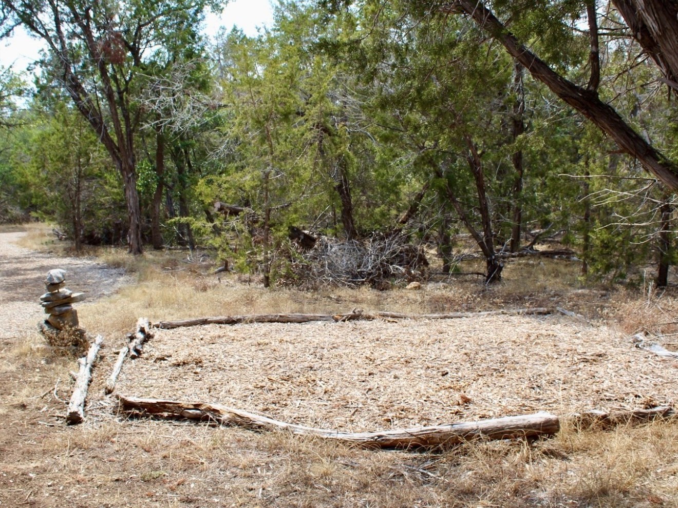 a group of giraffe standing next to a forest