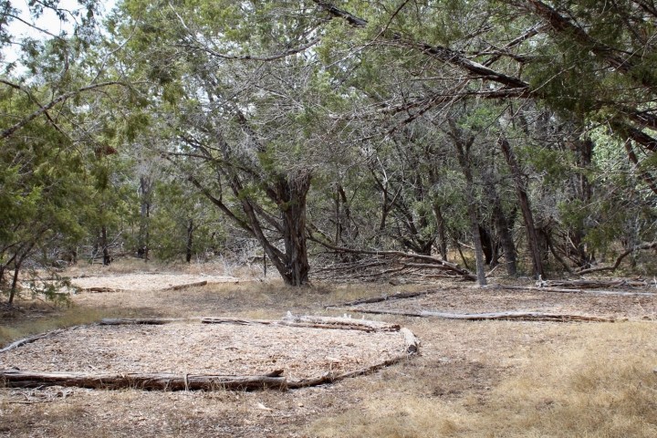 a tree in the middle of a dirt field