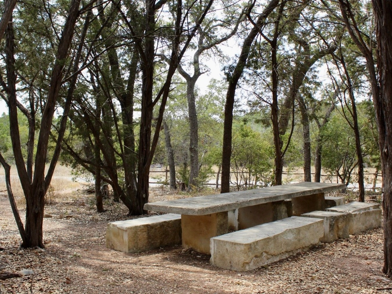 a bench in a park