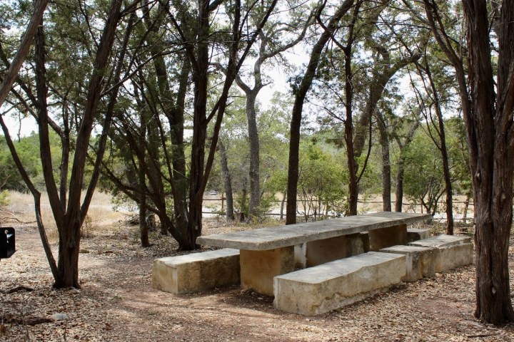 a bench in a park