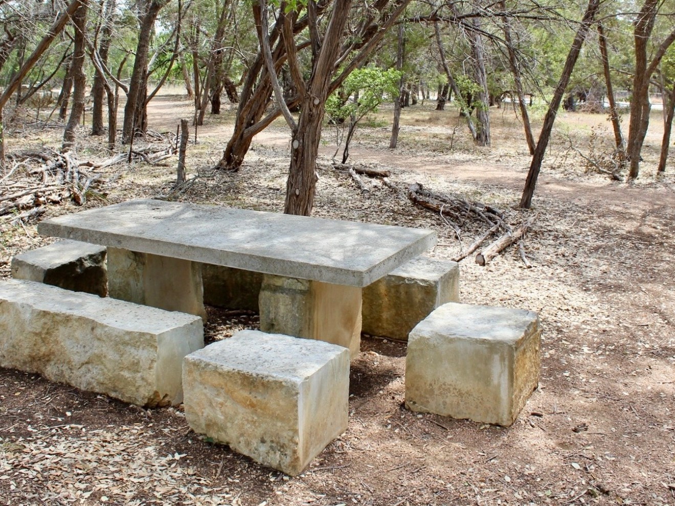 a wooden bench sitting next to a tree