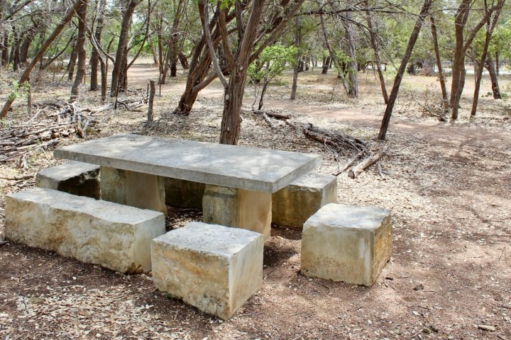 a wooden bench sitting next to a tree