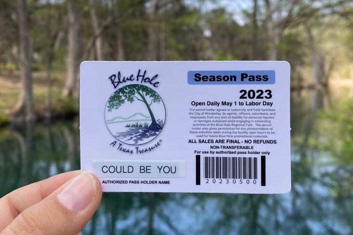 a close up of a tree