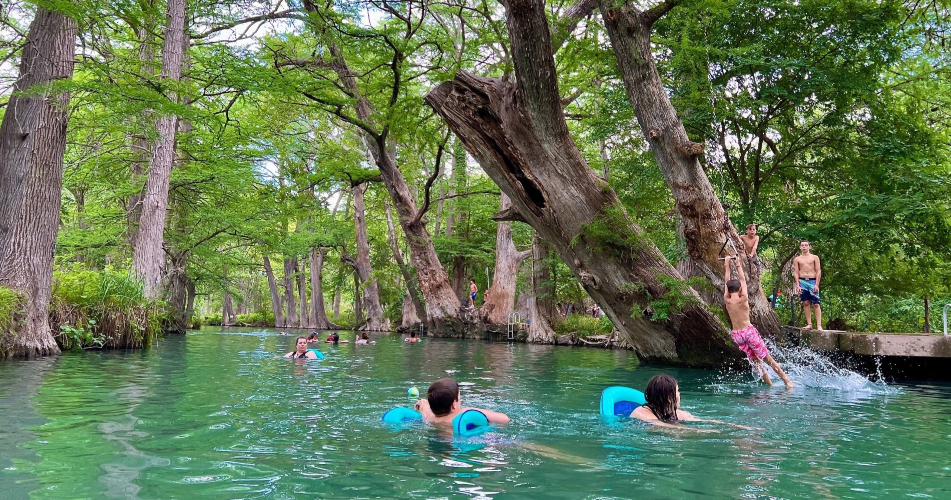 a group of people swimming in the water