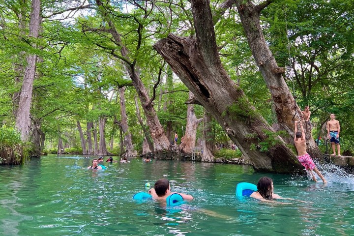 a group of people swimming in the water