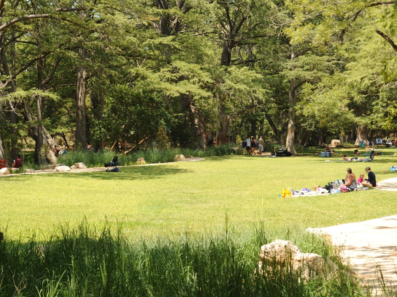 a group of people standing on a lush green field