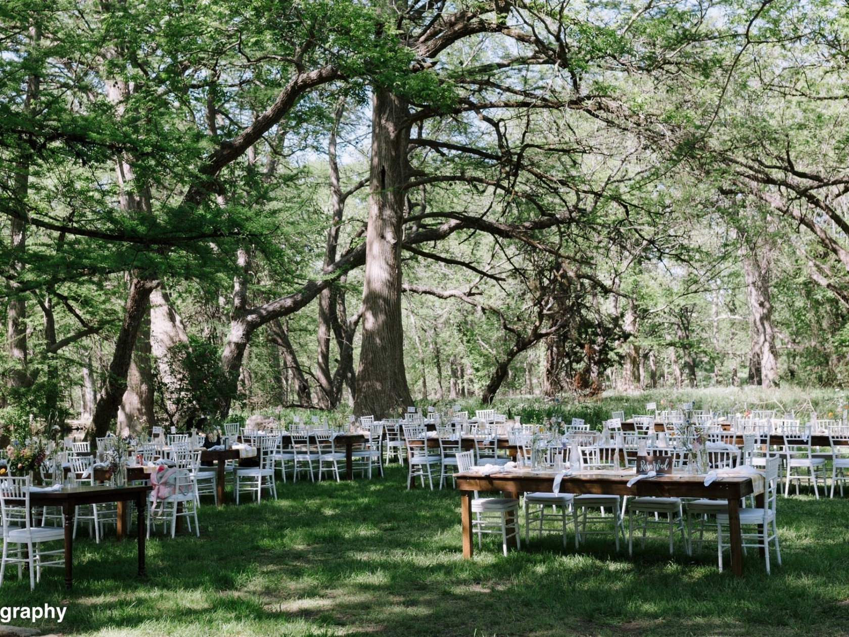 a wooden park bench next to a tree