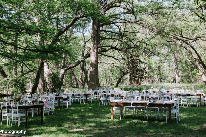 a wooden park bench next to a tree