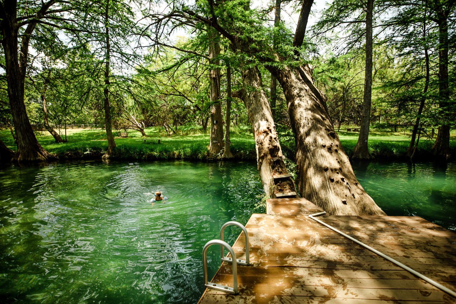 water next to a tree