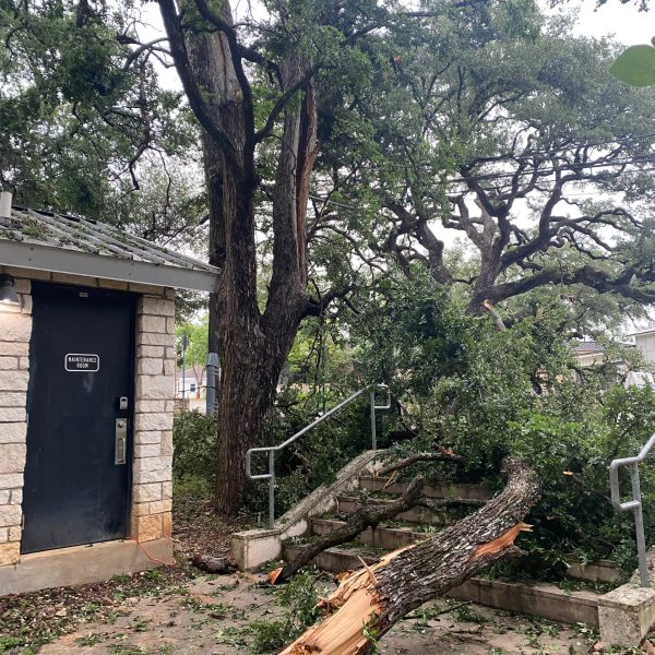a tree in front of a house