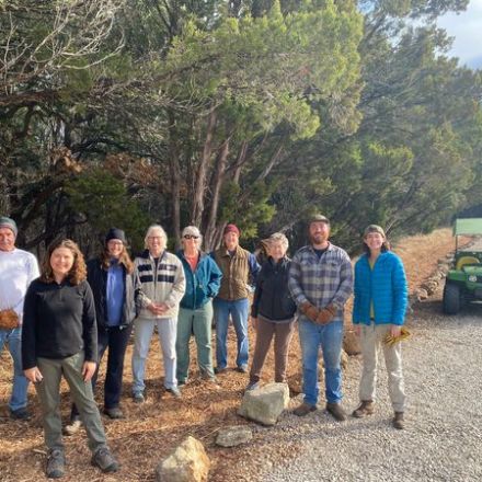 a group of people standing next to a tree