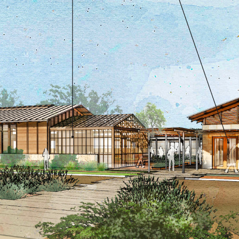 a house with trees in the background