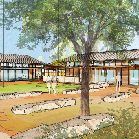 a group of people standing in a yard