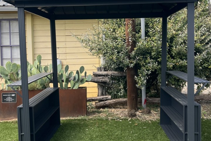 Gazebo on grass with shelves, yellow house, and plants in the background.