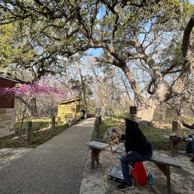 Two people painting on benches under large trees with pink blossoms near a stone and wooden building.