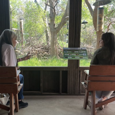 Two people sitting in a bird blind observing a wooded area.