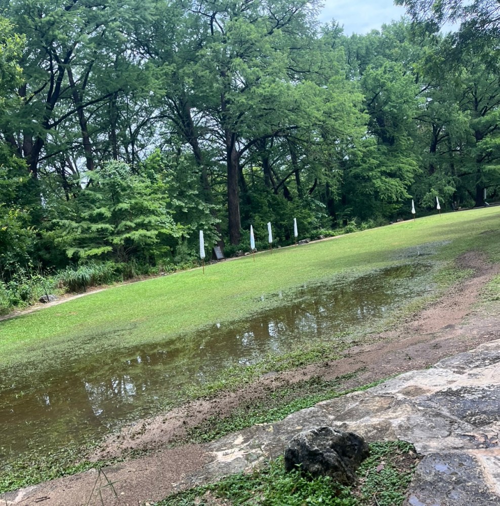 Flooded grassy area with trees and a muddy path alongside.