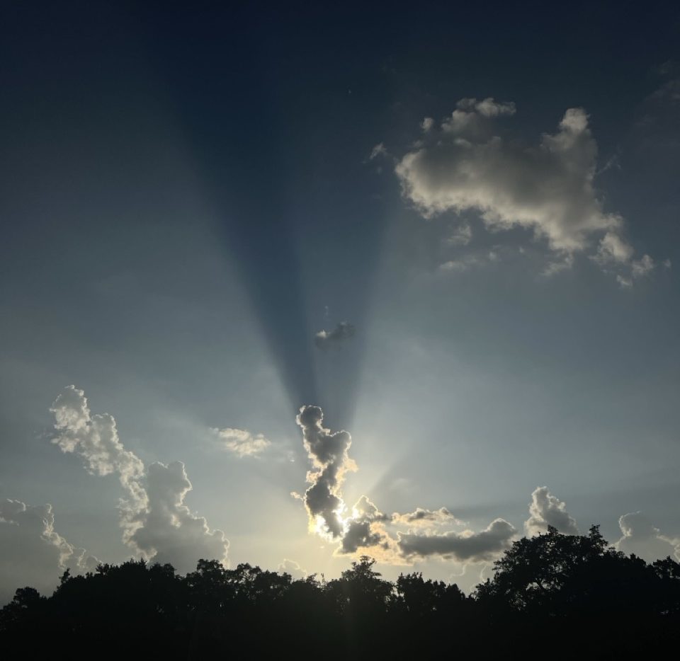 Sunset with rays and clouds above silhouetted trees.