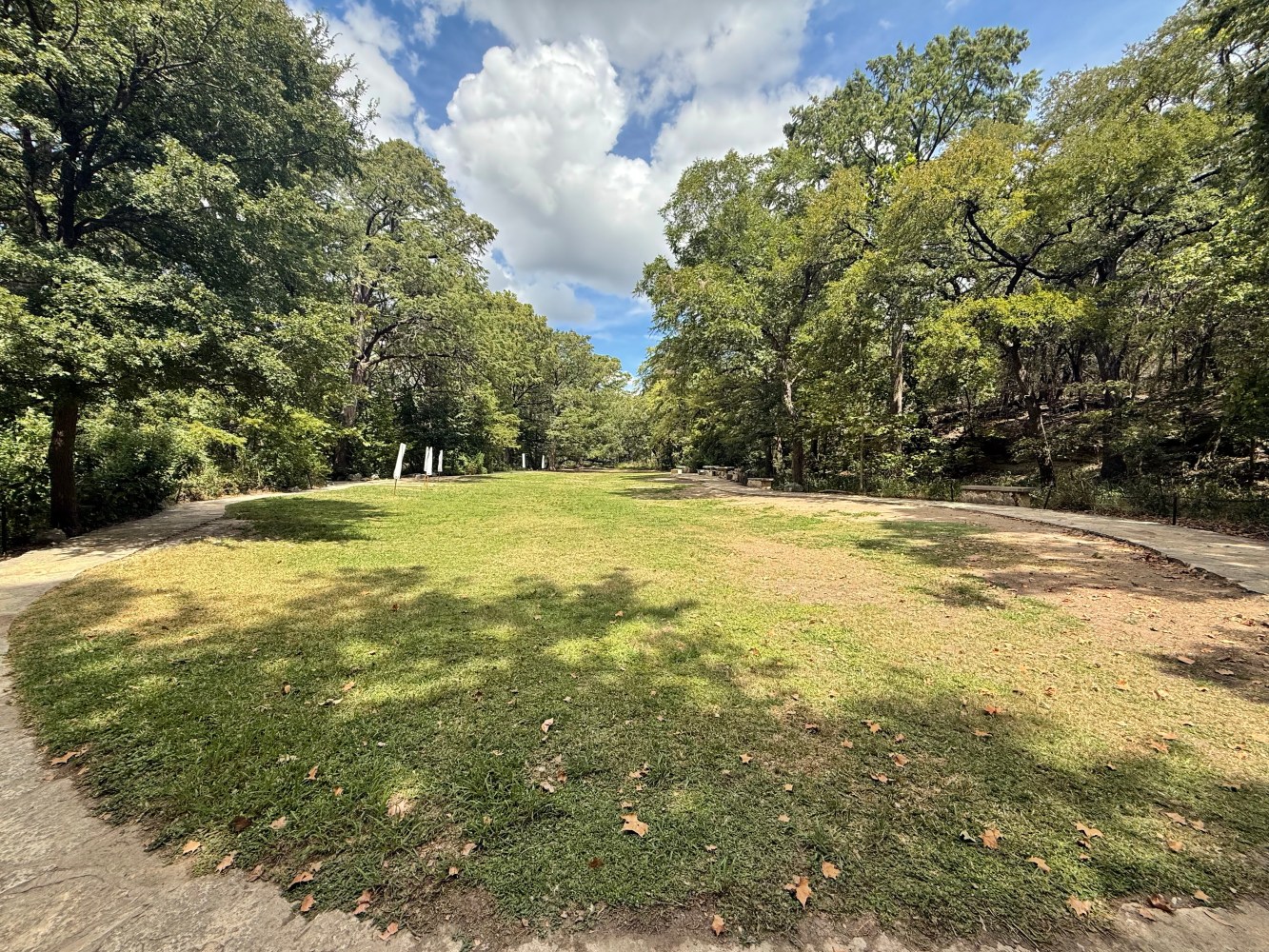 Circular grassy area surrounded by trees and a clear sky.