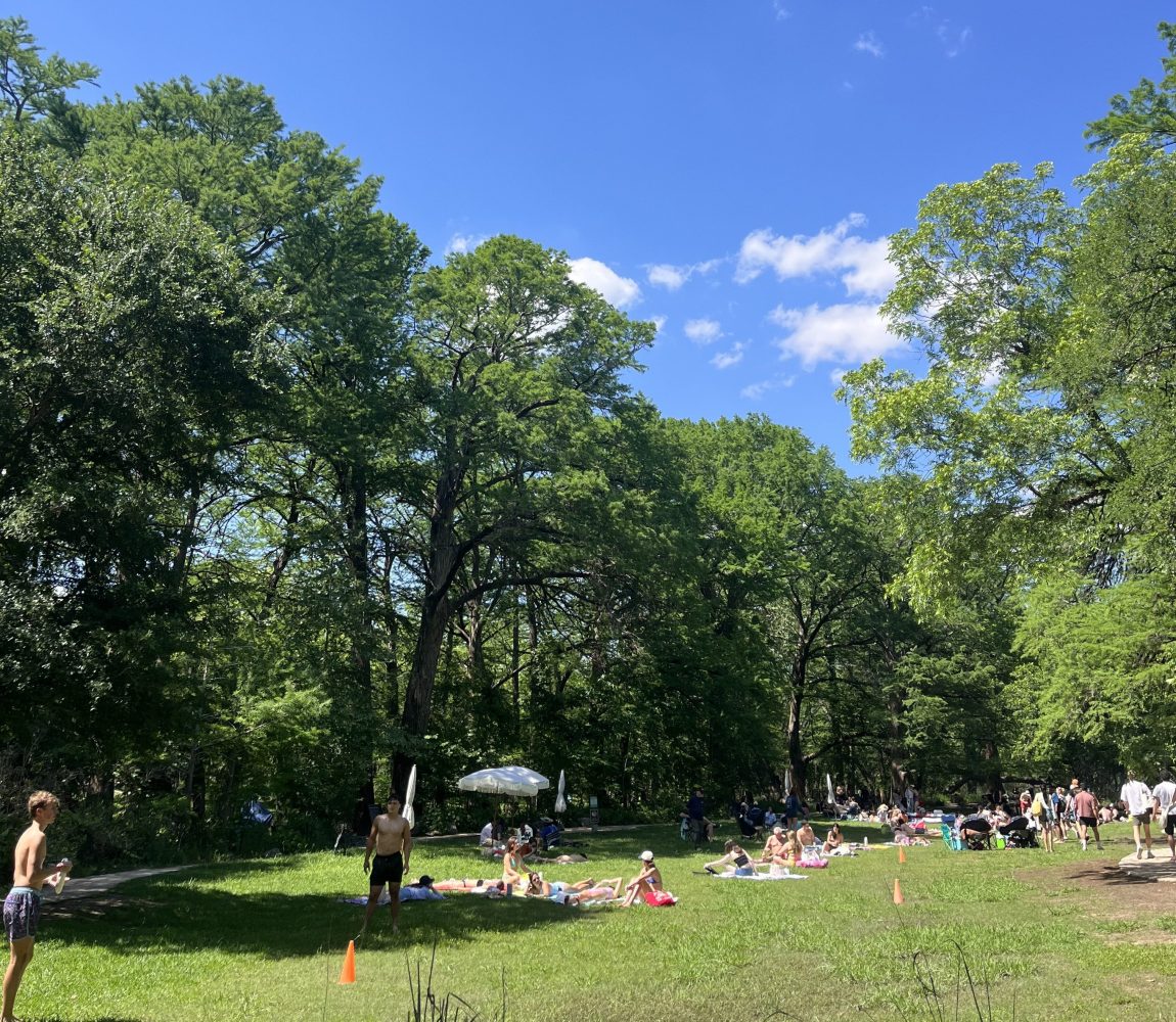 People enjoying a sunny day in a park with lush green trees and a clear blue sky.