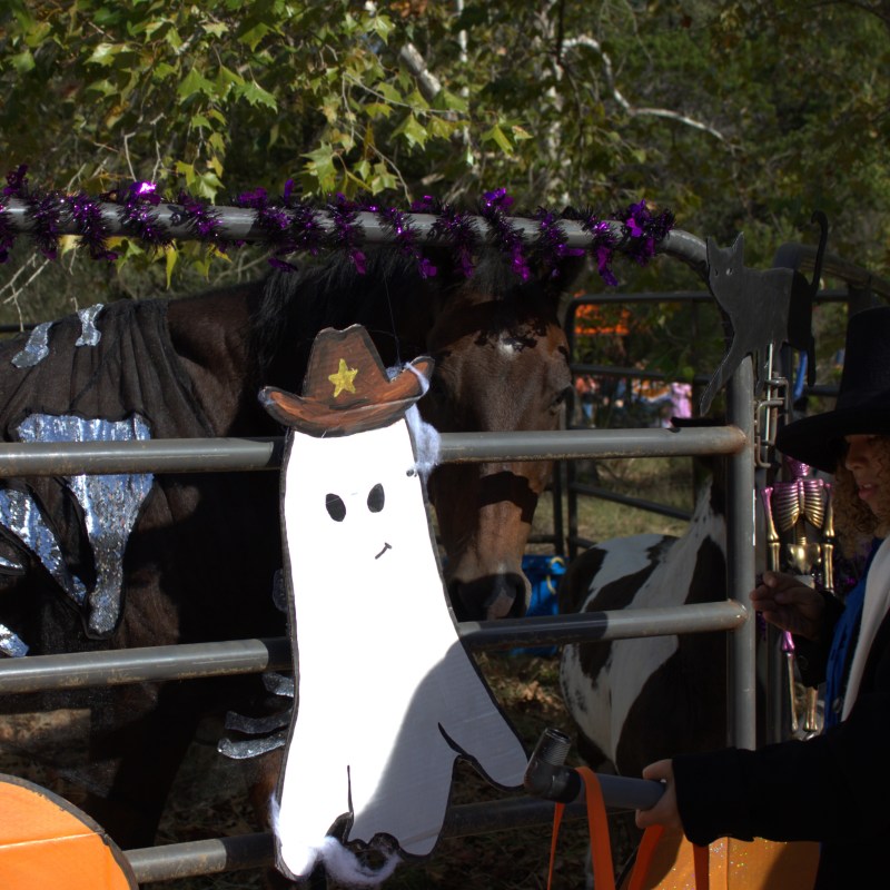 Person in costume near cow in skeleton outfit; Halloween decorations around.